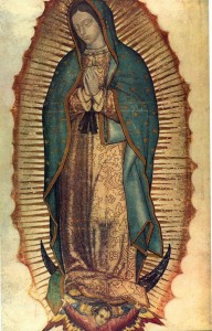 Guadalupe_005